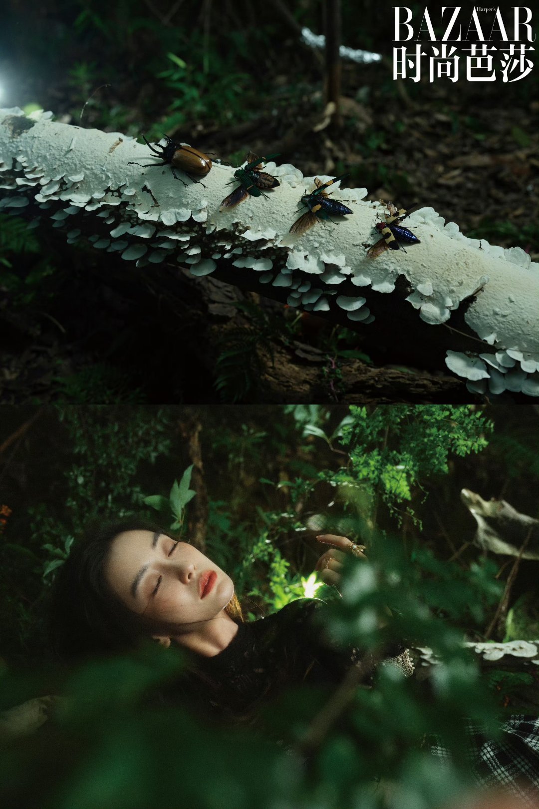 angelababy｜杨颖森林里的精灵公主