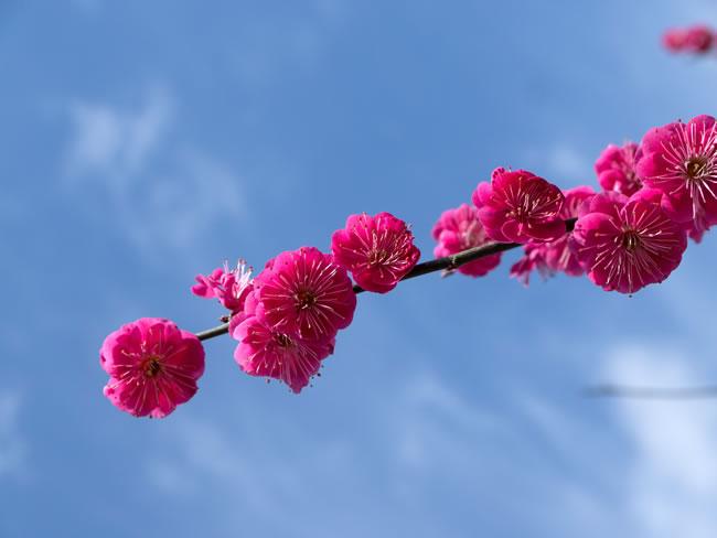 同事小王。离婚带了个儿子，儿子今年8岁。四年前经人介绍认识了现在的老公，婚后