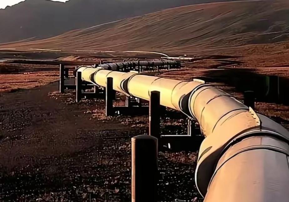 德国这下真要慌了。有知情人士爆料，俄罗斯已明确通知哈萨克斯坦和德国，从今年