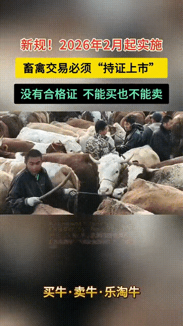 新规！畜禽交易要办证了、没有合格证不能买卖！近日，农业农村部发布新规，牛、羊、猪
