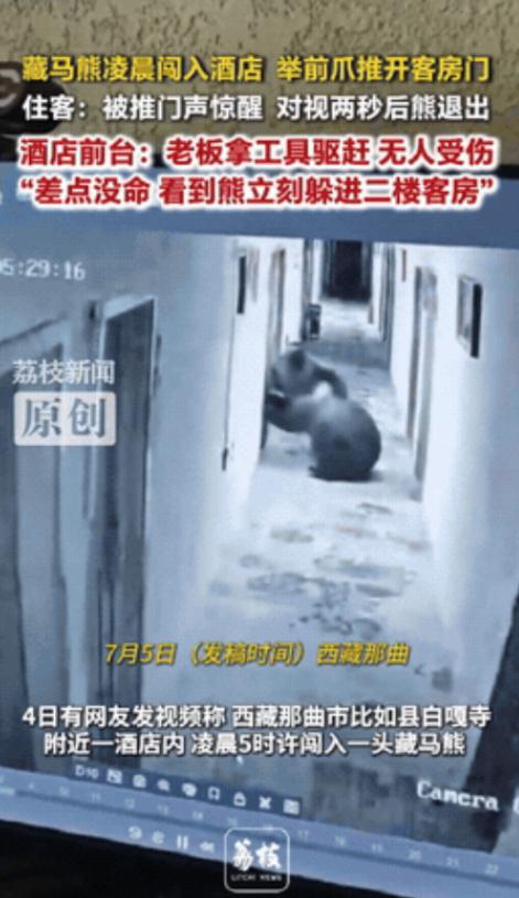 差点没命！西藏那曲，游客在酒店睡觉，凌晨五点多房门突然被推开。他刚要发火，下一秒