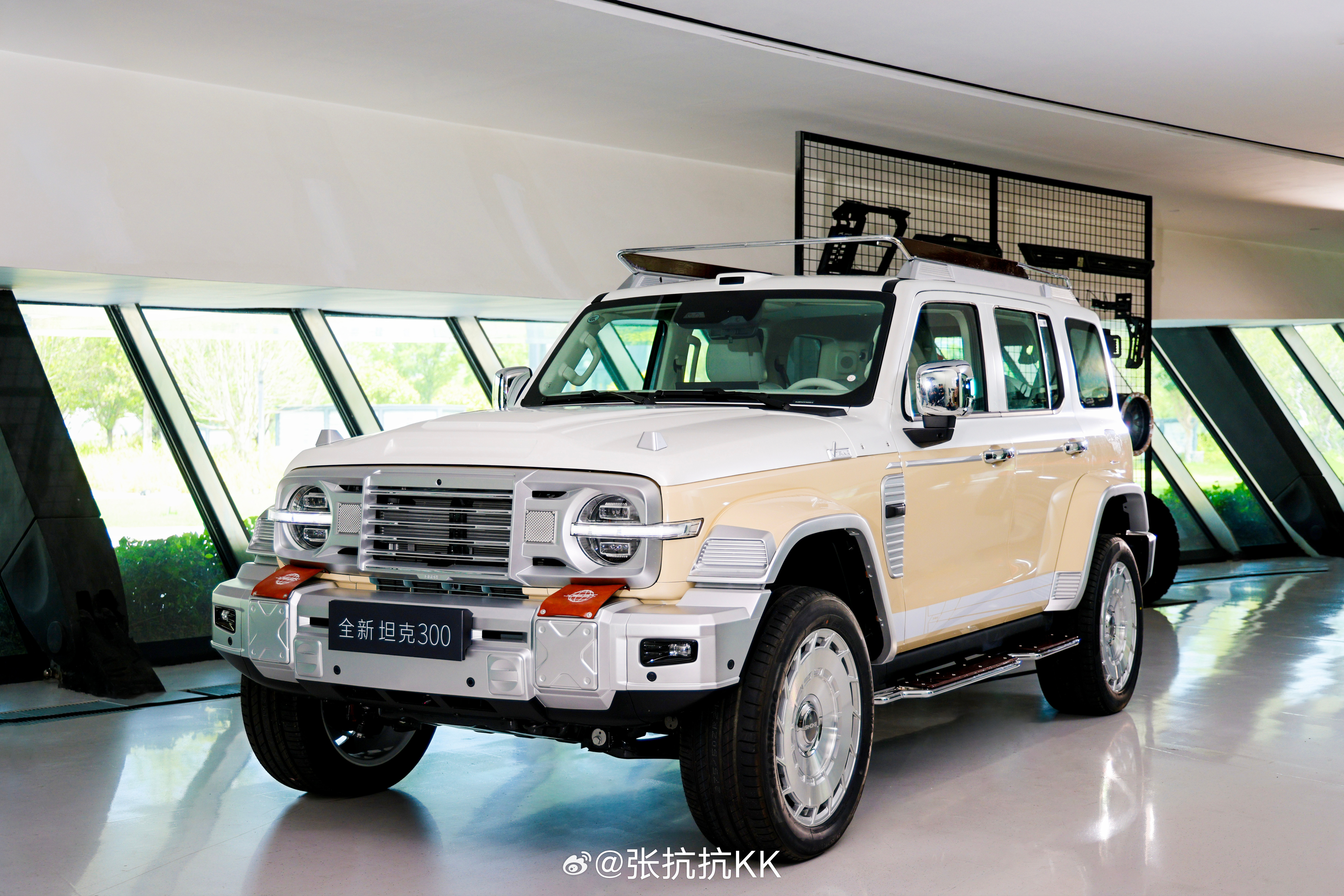 全新坦克300年轻人的大玩具全新坦克300，全动力形式都有，价格如下：-Hi4