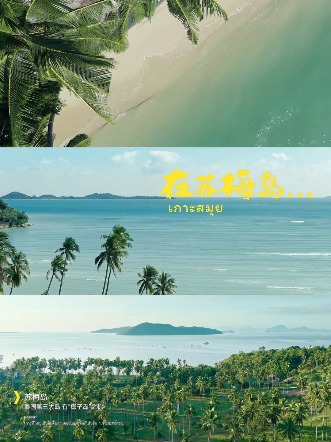 看《暹罗百味》去泰国的心，到达了顶峰！