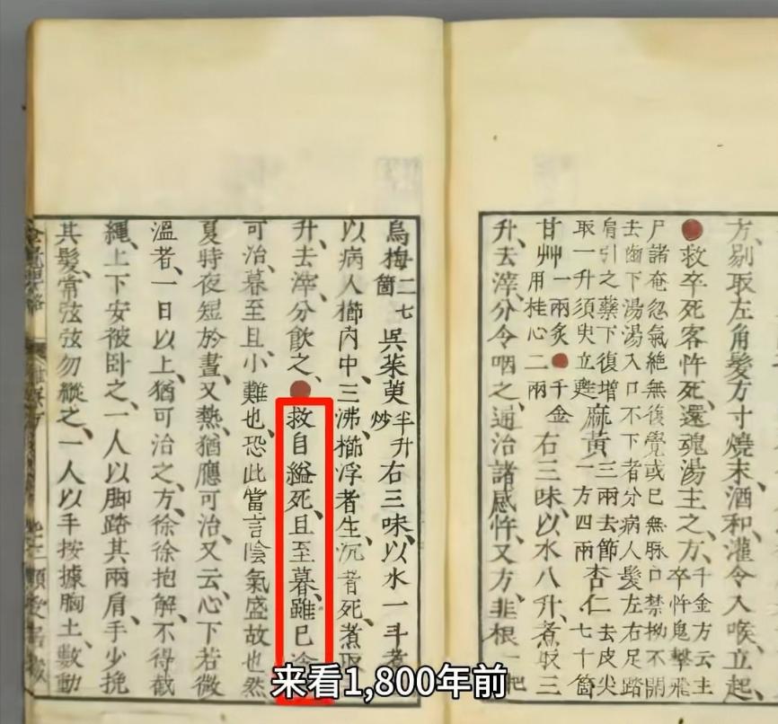 一个女留子在欧洲的图书馆，寻找被西方带走的中国古代典籍，结果有大量评论攻击，说她