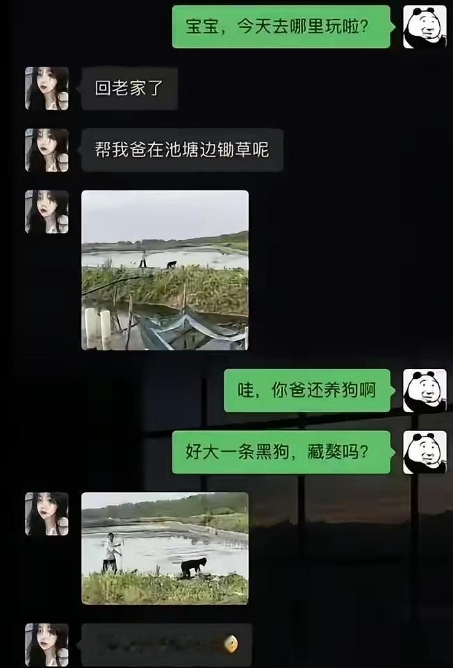 好家伙，所以这怎么原话呢[狗头]