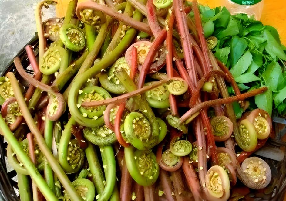 肝病是吃出来的，这3种野菜，一定不要乱吃！如果平时不注意饮食习惯，经常吃一些
