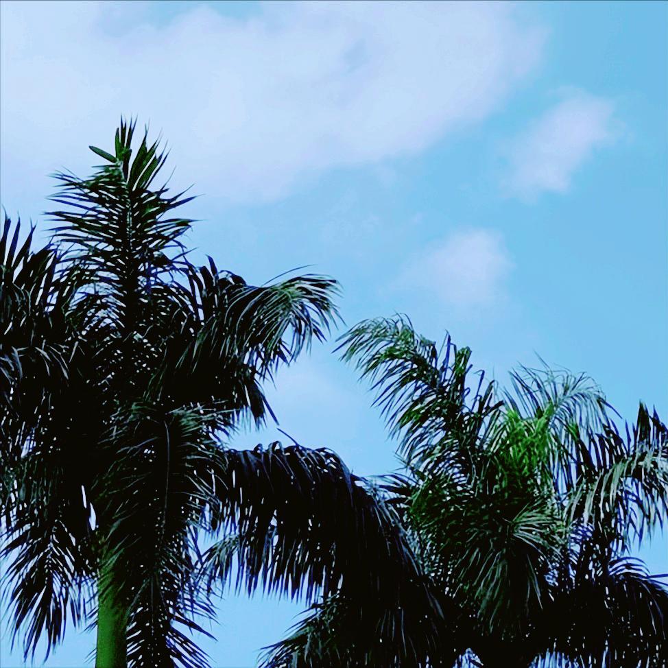 香港特区政府警务处：中央支援的外骨骼机械装备、特制高亮度照明系统等极大提升了大埔