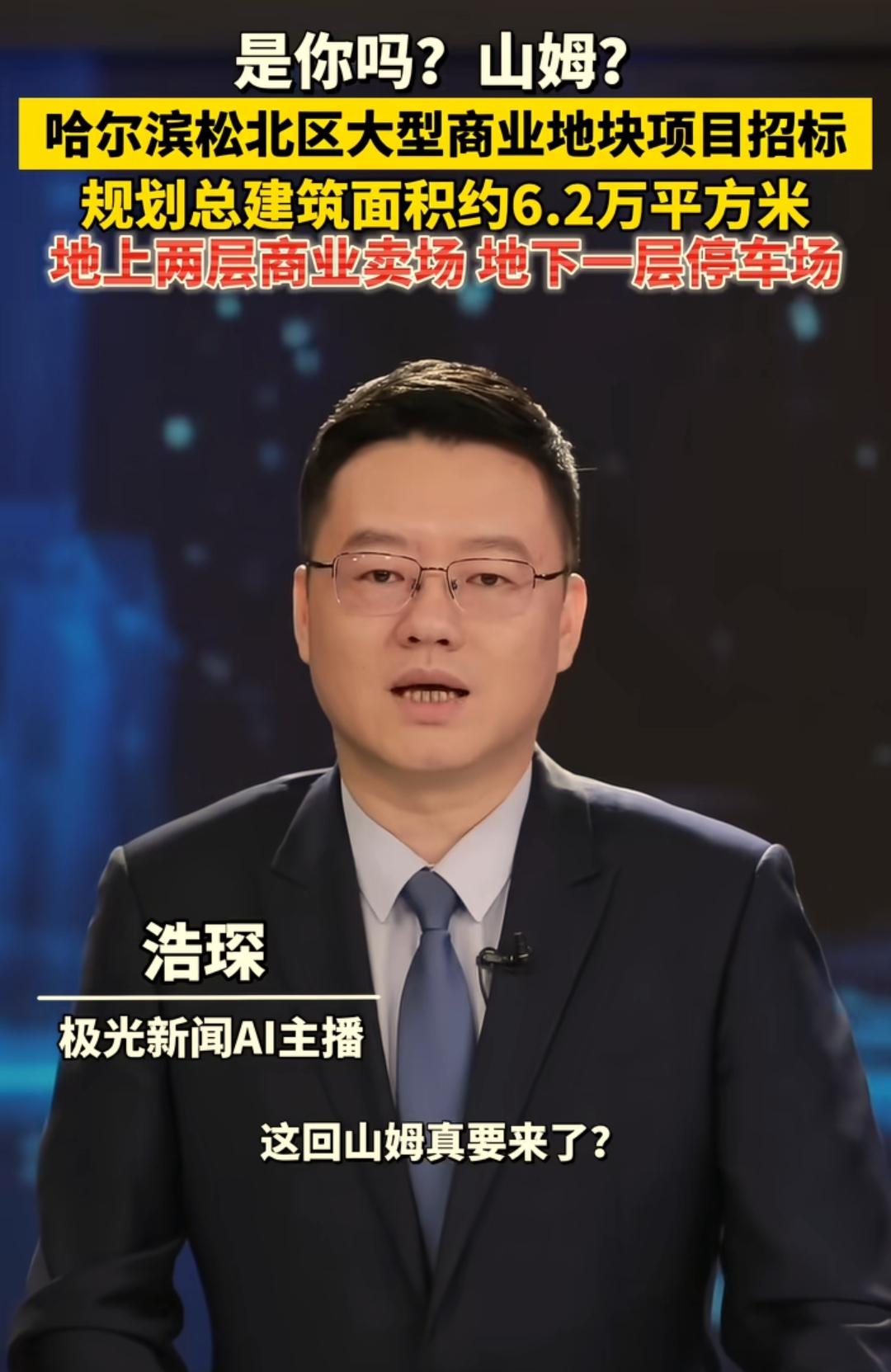 看来哈尔滨市商业发展确实有了新突破，前不久发布的松北区D-03-30-01地块项