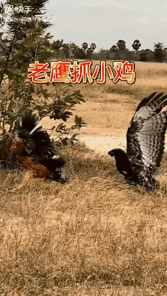 死里逃生！😱