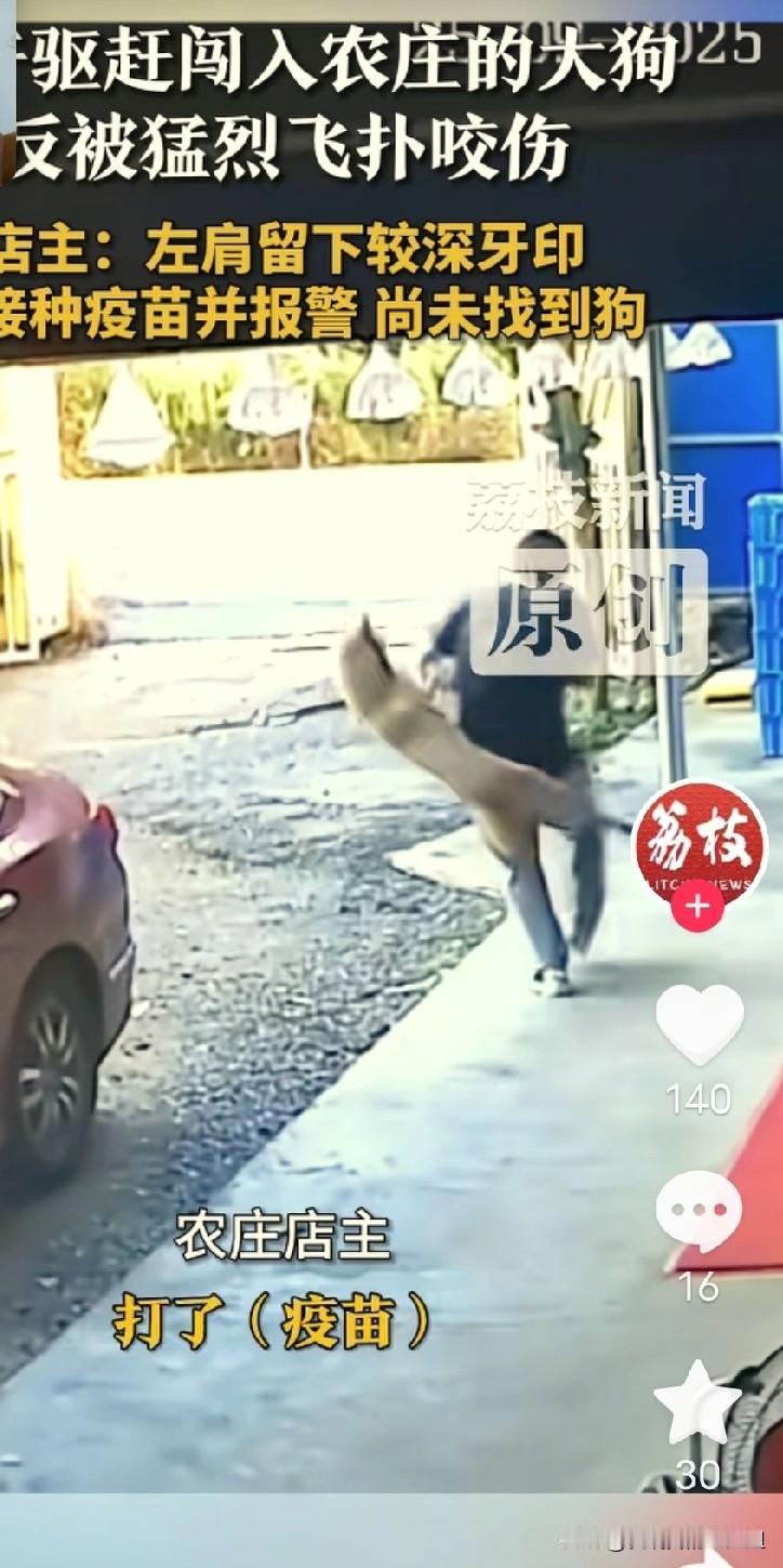 太可怕了！”广东韶关，一农庄老板正在看店，忽然，一只大黄狗遛进院里，担心咬伤客人