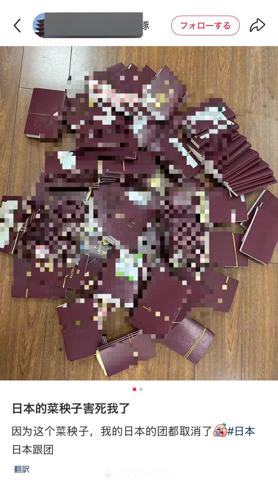 从事日本旅游行业的网友怒骂高市早苗害人