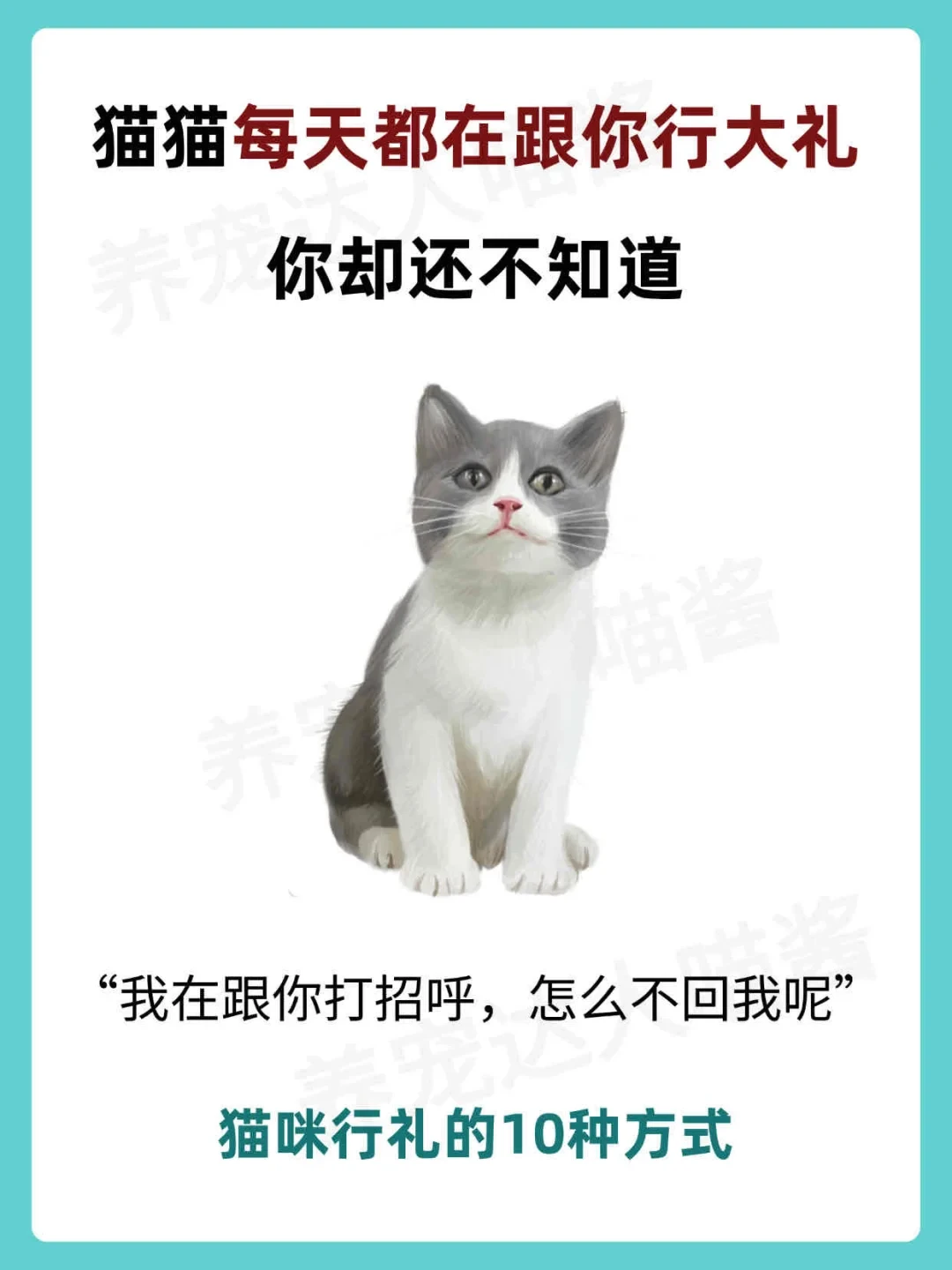猫猫每天都在跟你行大礼，你却不知道