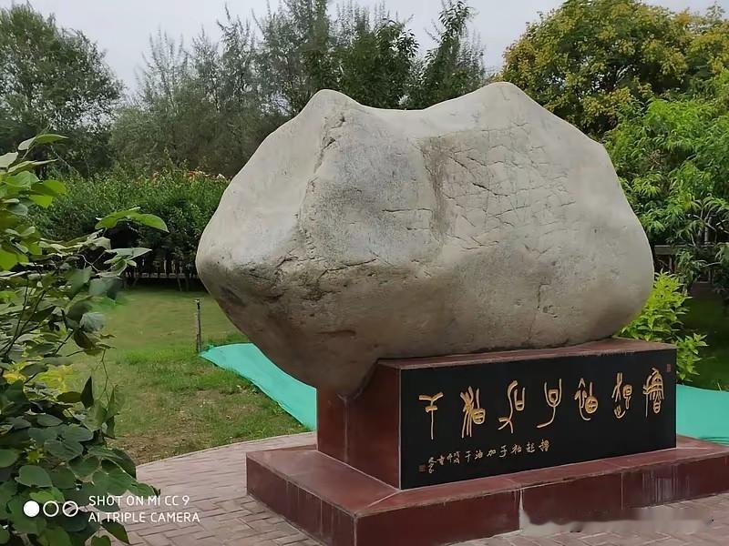 我有个朋友老周，玩瓷器玩了四十多年。去年冬天，他神秘兮兮地拉我去他家，说要给