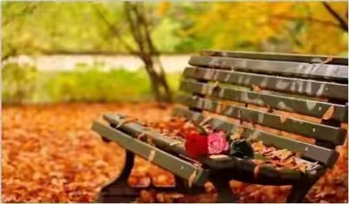 昨天晚上老伴的一句话，让我五味杂陈，彻夜难眠，没想到恩爱了大半辈子了，到老了因为