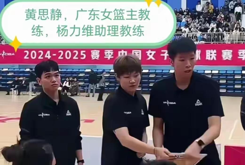 广东新彤盛女篮走的与宏远男篮一致路子，冠军盈利并抓！厚积缓称王，广