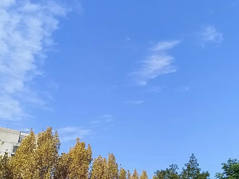 11月份天气都还不错啊这几天的天气格外好