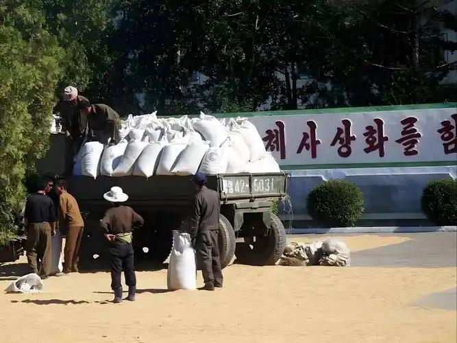 朝鲜出口产品确实多处于低端初级阶段，利润不高。2023年朝鲜对外贸易总额27.2