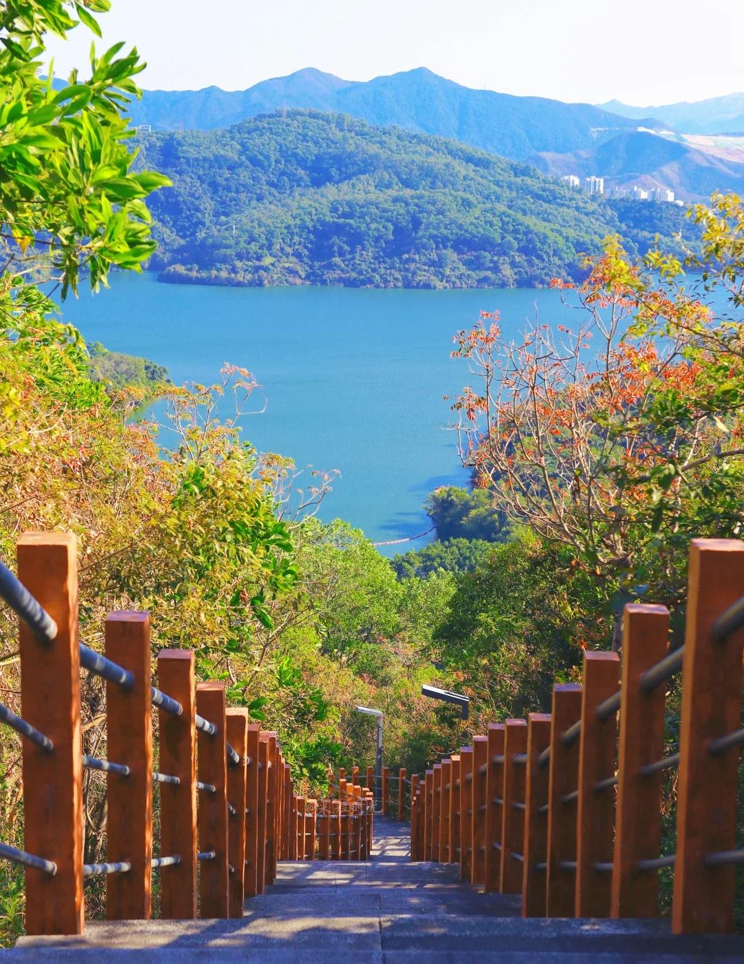 深圳巨舒服的徒步路线🌿零难度打卡“千岛湖”深圳的冬天徒步爬山太舒服了今天米