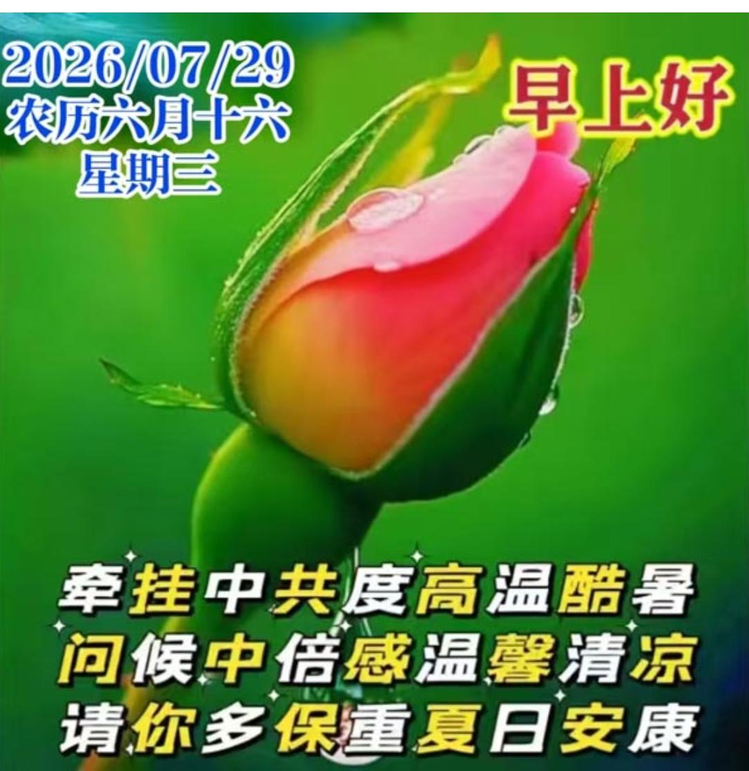 美好一天又启航，心情舒畅迎吉祥；人生最美是健康，心态年轻贵如金；岁月静好