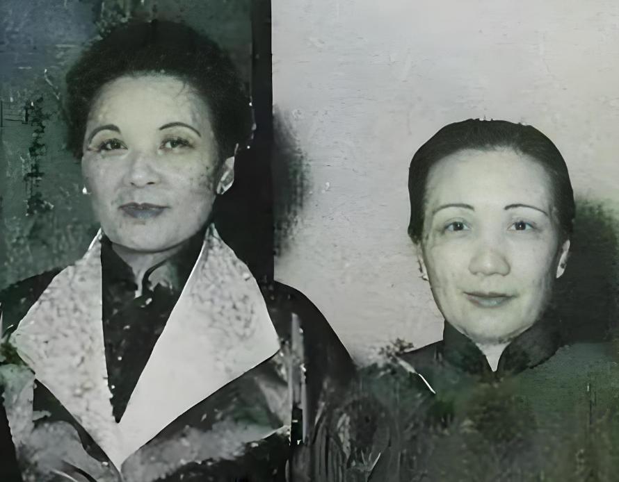 1948年深秋，陈诚在东北战场焦头烂额，最终以胃疾为由卸下军政全责，飞回南京。他