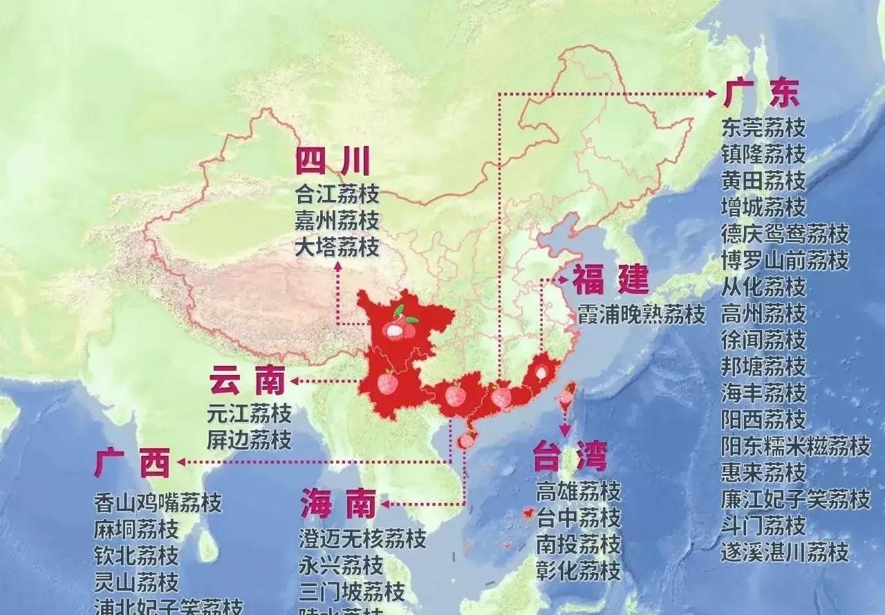 以前一直以为只有像广东、广西这样的热带地区才会生产荔枝，没想到福建、四川也会生产