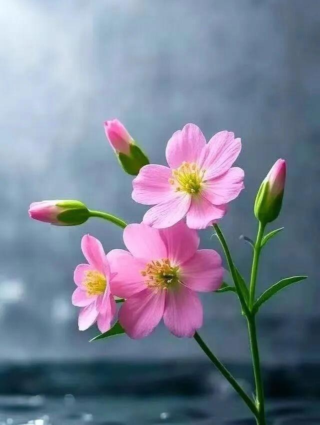 现在的房东也很难做了。我有一个朋友，她说，花了十几万装修好的房子带家私家电出租