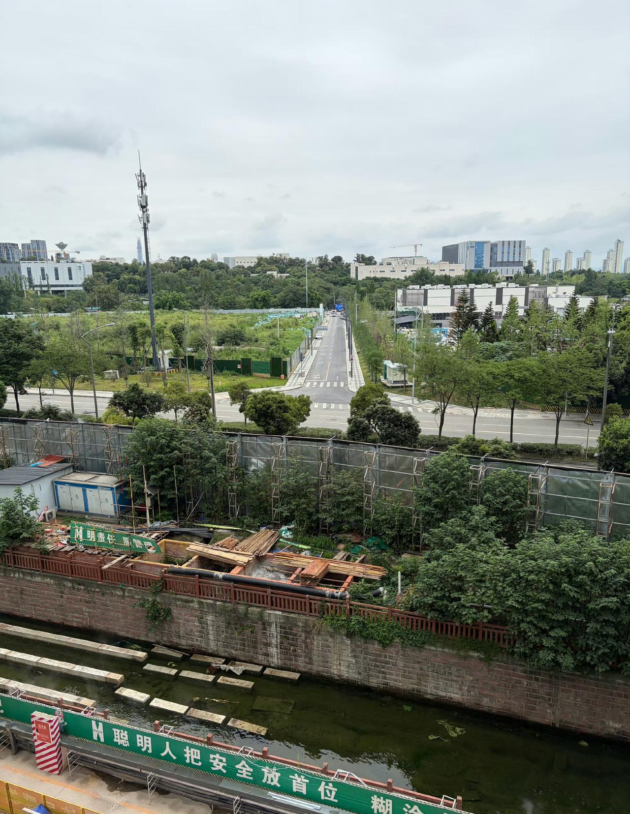 今日运势：丙午年乙未月甲辰日2026.7.29日鼠：贵人助力财运旺盛牛