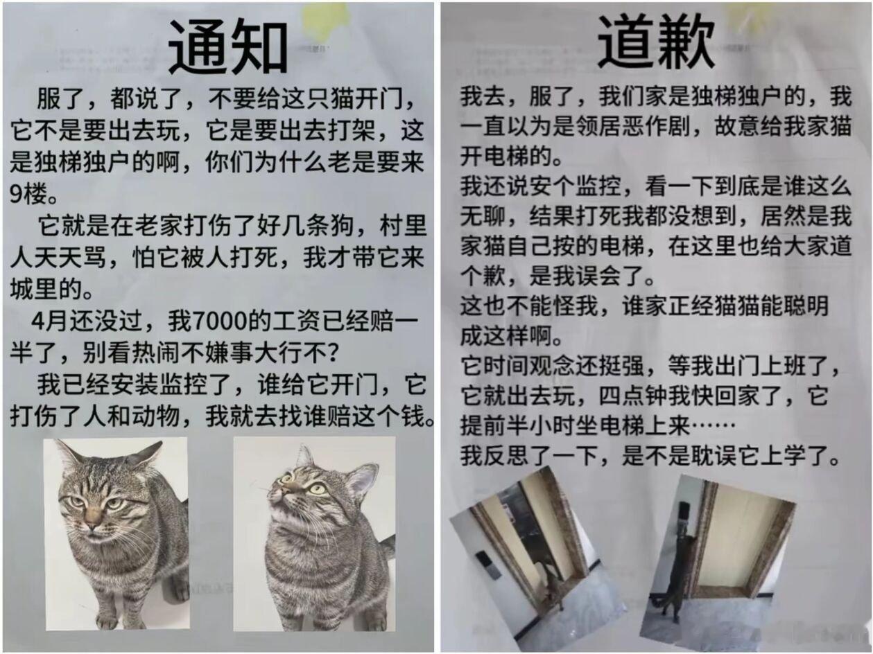 要不还是送孩子去高考吧