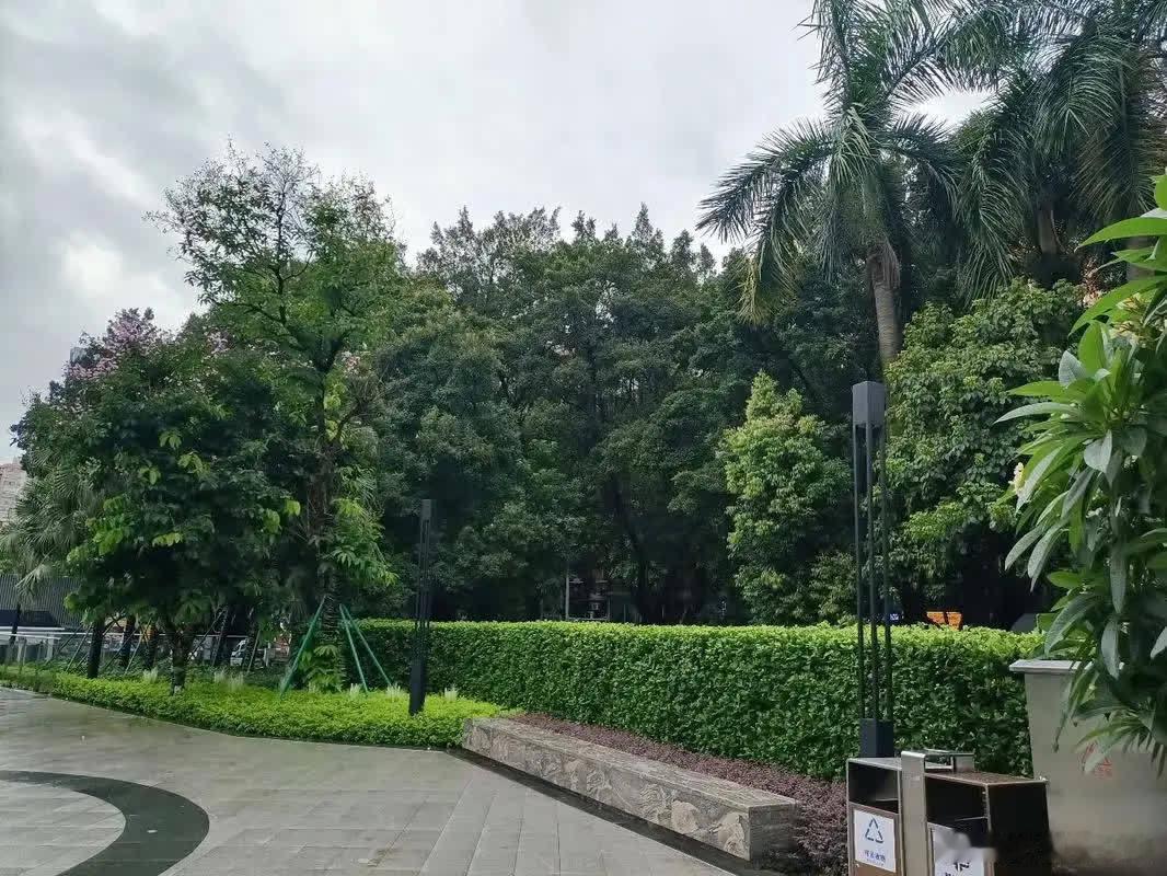 当年，刘德华对正当红的林家栋说：阿栋，最近你就不要再拍戏了，休息几年再说！刚被提