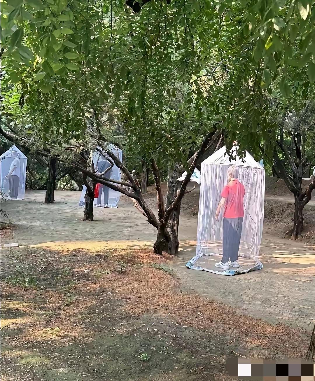 真想不通这些老年人是闲的没事干了，早上锻炼就锻炼呗！这整的是哪出？最近看