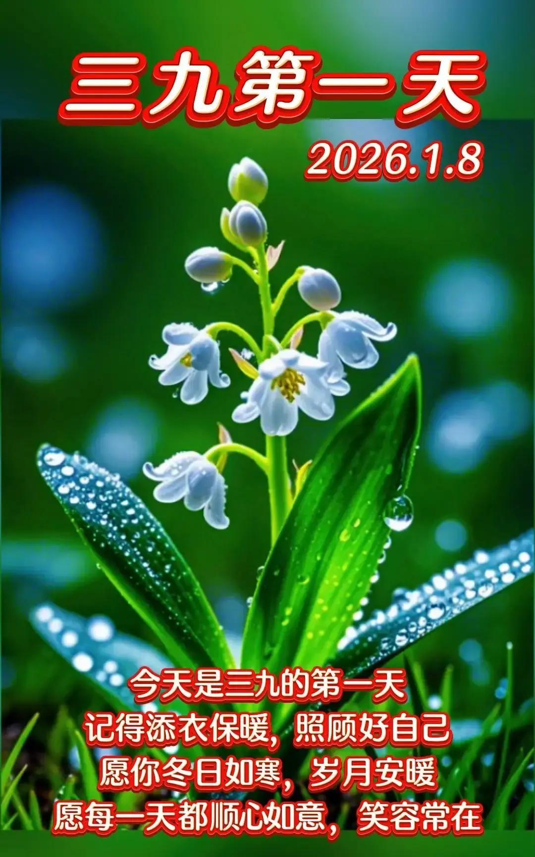 三九第一天寒潮就杀到，全国多地气温直接跳水。中医专家在电视里喊：萝卜炖羊肉、清