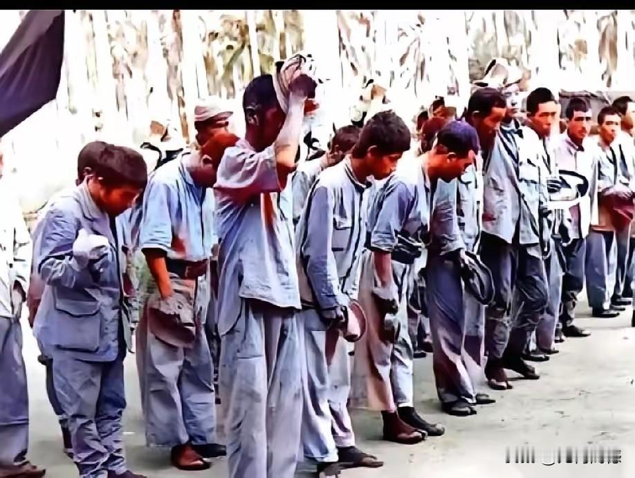 被俘获的日本鬼子，真像一群地狱中的小鬼一样，身材矮小，形象猥琐，当被抓住的时候，