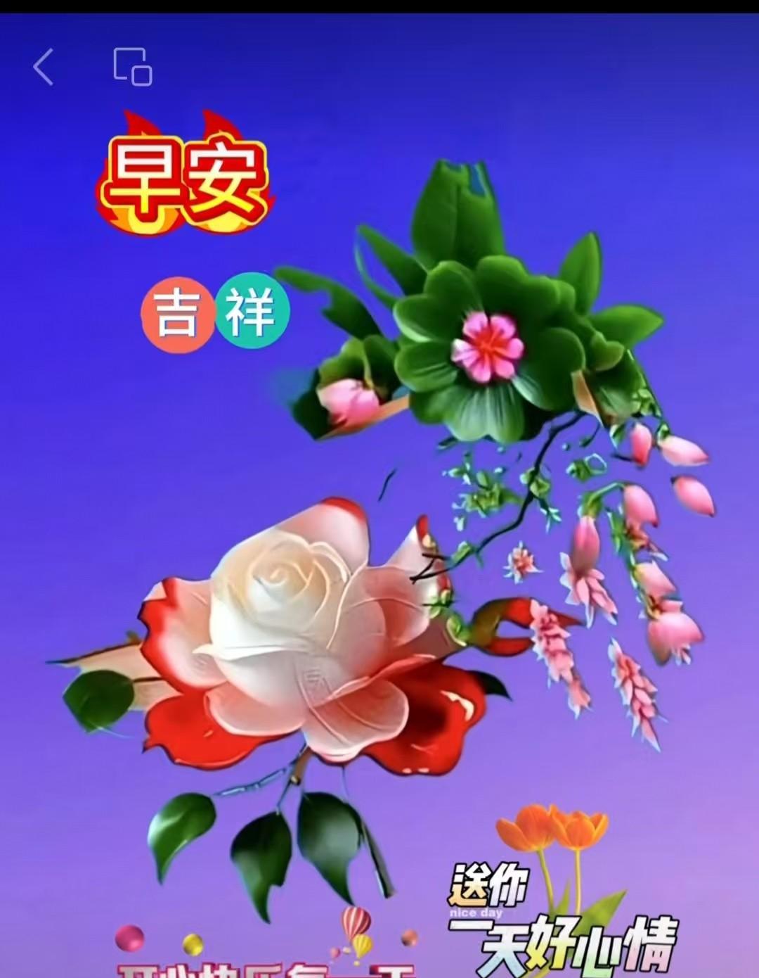 早安啊！清晨的第一缕阳光带来了一天的希望。岁月匆匆，新的一天又开启了。生活中，