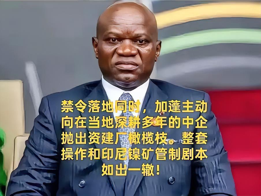 照搬印尼镍矿套路！加蓬叫停锰矿原矿出口，逼中方交出核心冶炼技术！禁令刚落地，加蓬
