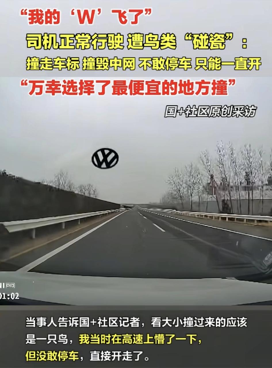 安徽宿州一司机在高速公路上行驶时，一只鸟撞飞过来。大众车标被撞飞，因为是在高速公