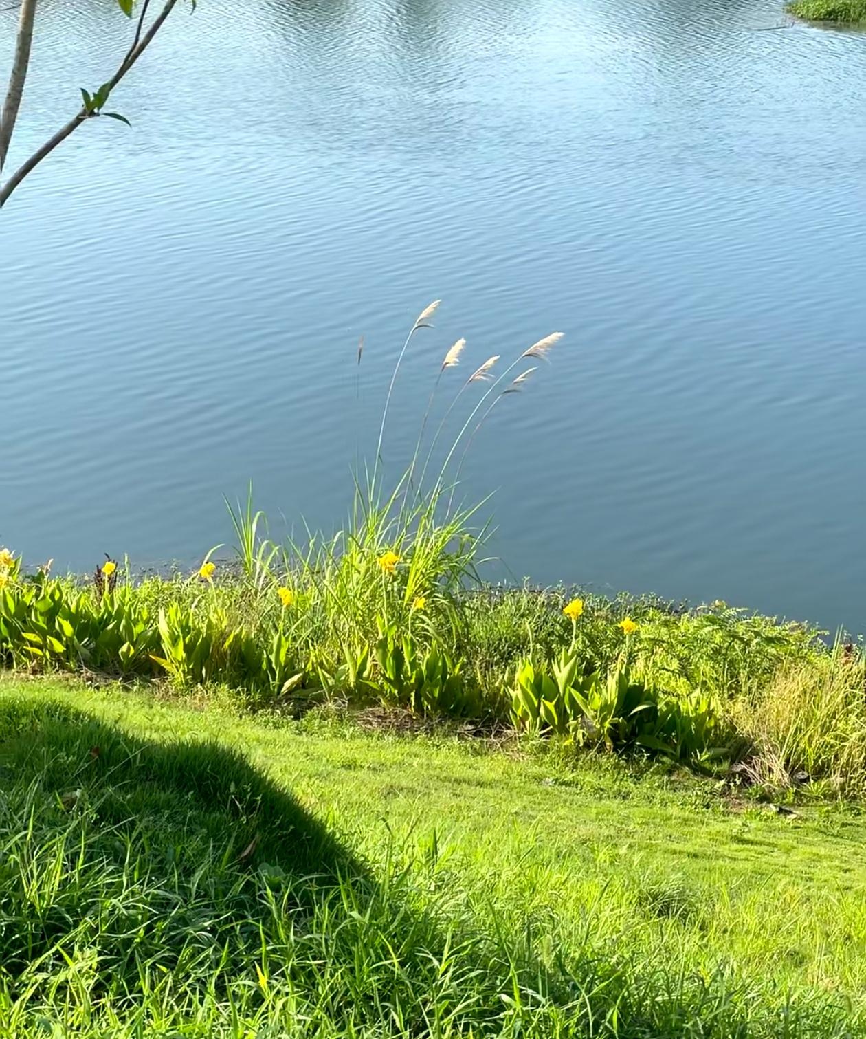 昨天远房亲戚打来电话，想让备考高考的孩子暂住家里两晚，还特意强调不会白吃住，我二