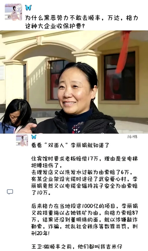 为什么黑恶势力不敢去顺丰，万达，格力这种大企业收保护费?看看“双面人”李丽娟