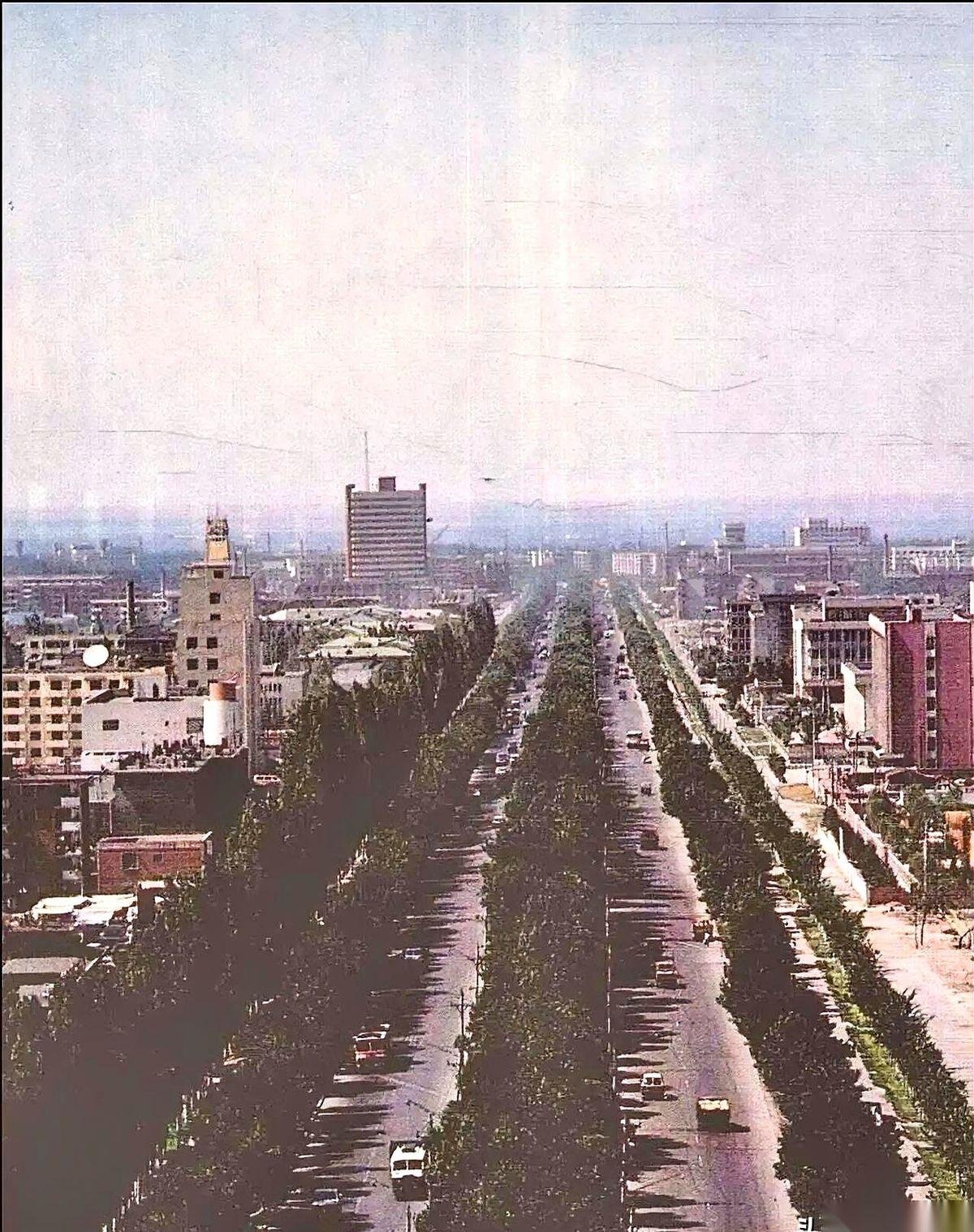 1985年4月13号，乌鲁木齐的博格达宾馆，门口突然来了一群年轻人。他们穿着崭