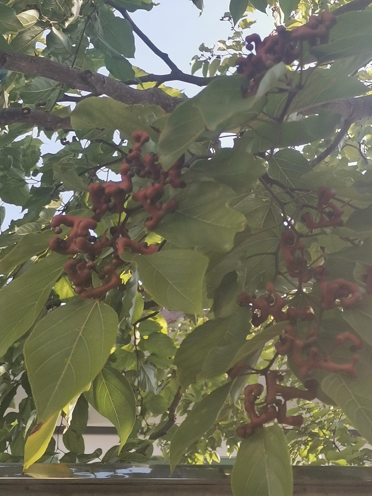 老师罚孩子写作业算体罚但是需要具备这些特征布置的作业是重复抄写类的比如抄写