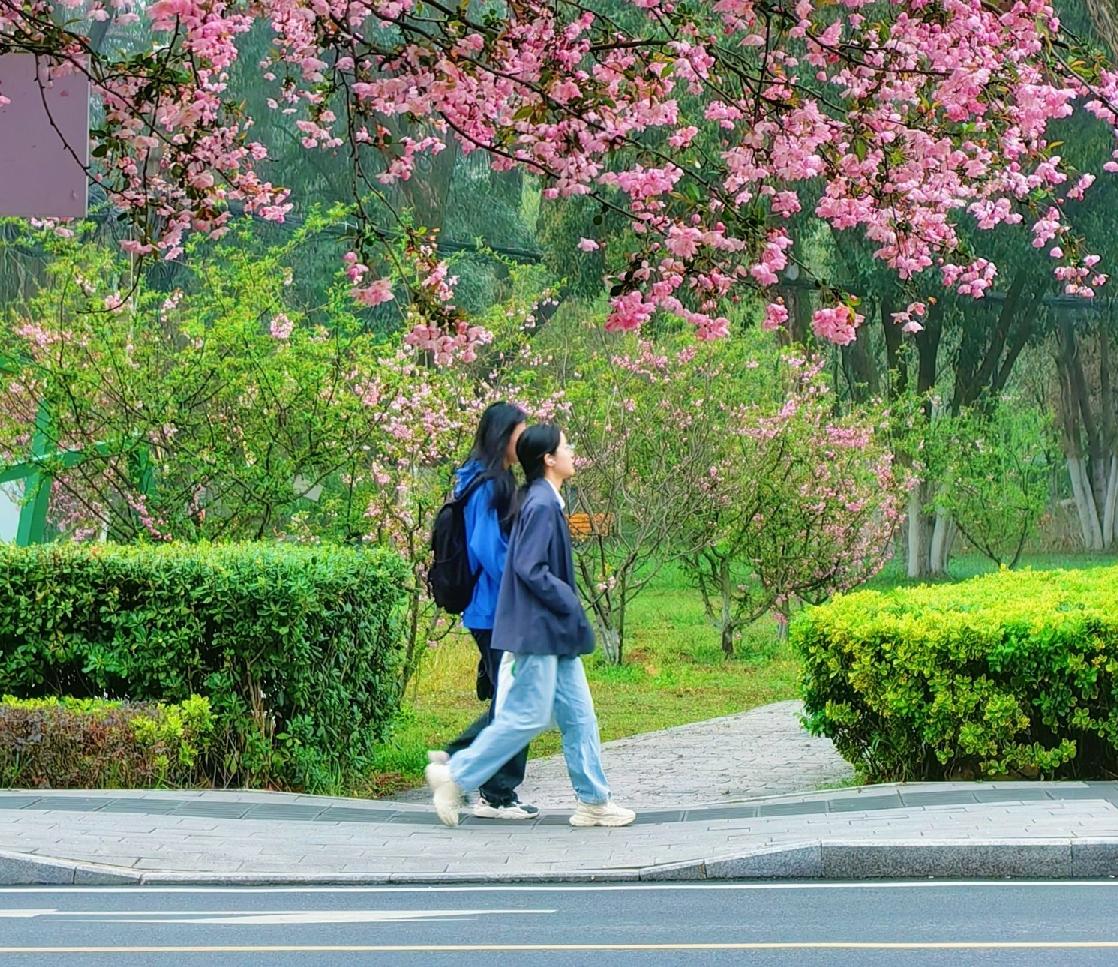 不得将毕业院校、全日制与非全、是否留学经历等列入招聘条件限制，要不要先从选调生开