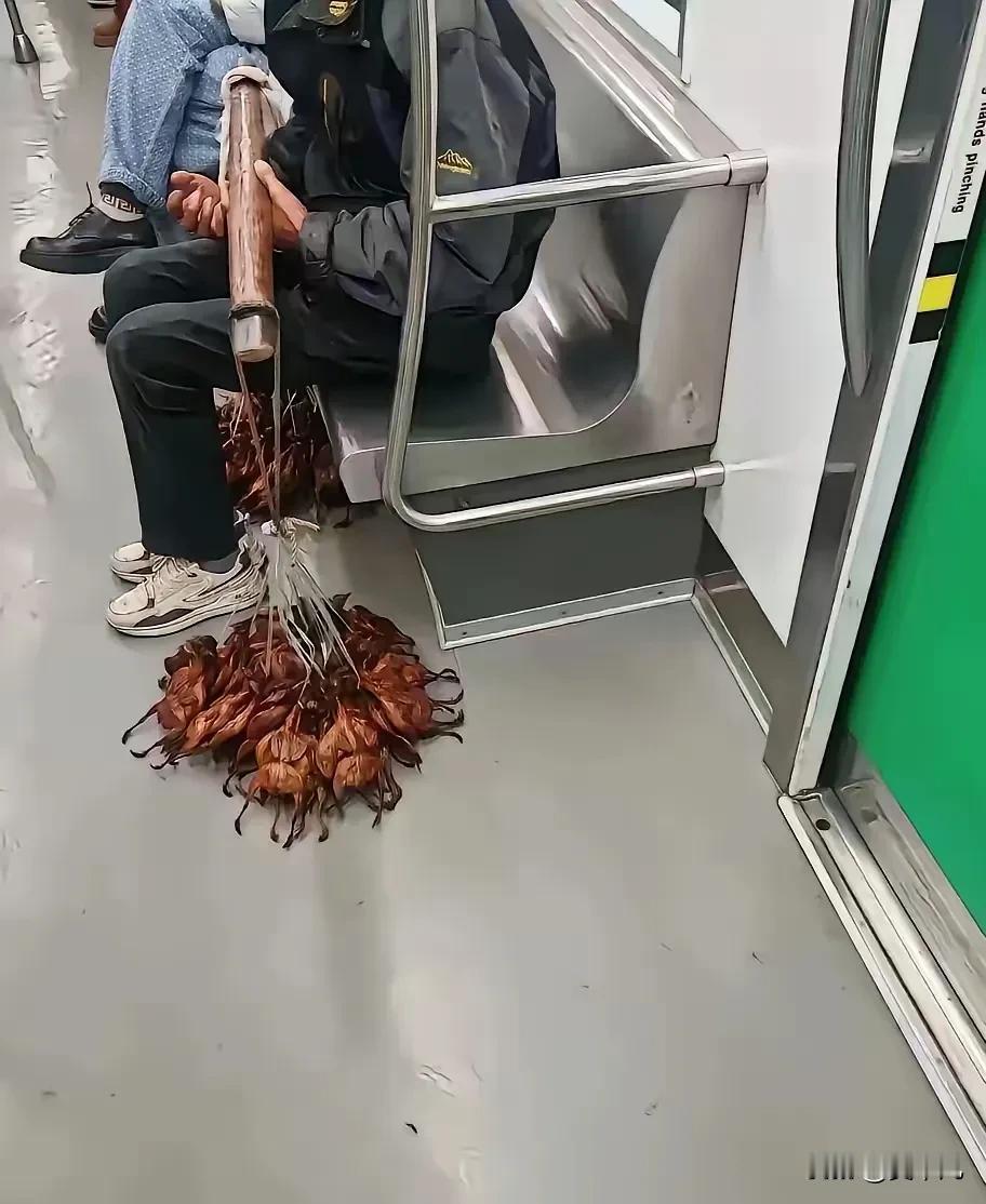 我说我吃的照烧鸡怎么一股子骚气味。