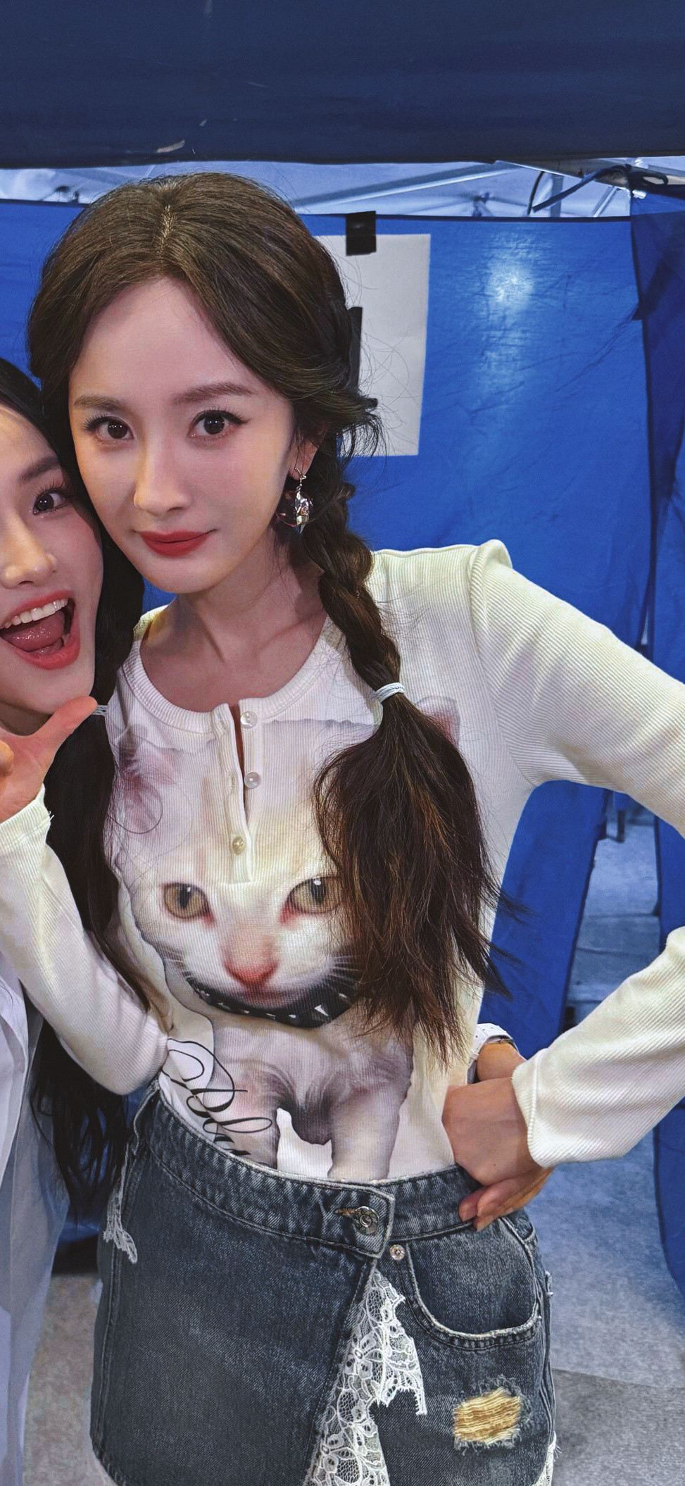 猫猫教和狗狗教的世子之争我们猫猫教因为有杨米感觉已经稳了[doge]​​​