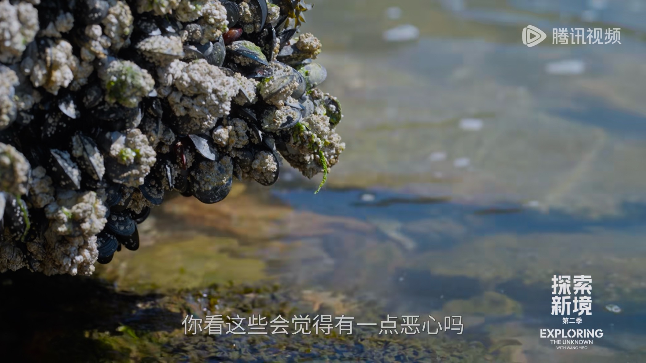 宝宝跟我一样有密恐！啊啊啊太萌啦太萌啦太萌！啦！探索新境2王一博