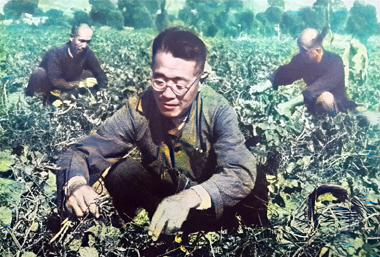 这是国军高级将领，黄埔一期高材生，蒋中正的得意门生杜聿明在田地里劳作。杜聿明的家
