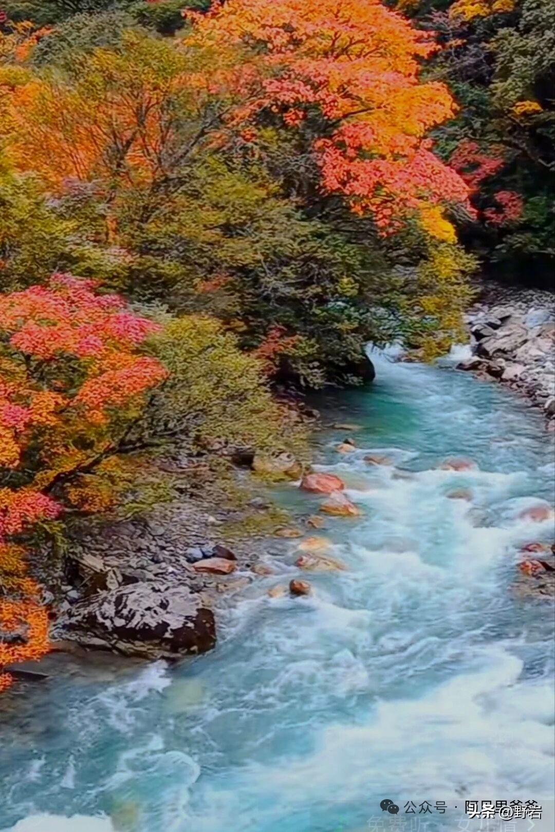 读懂这10条底层逻辑，看透人性规则，人生少踩十年大坑1、24到31岁，