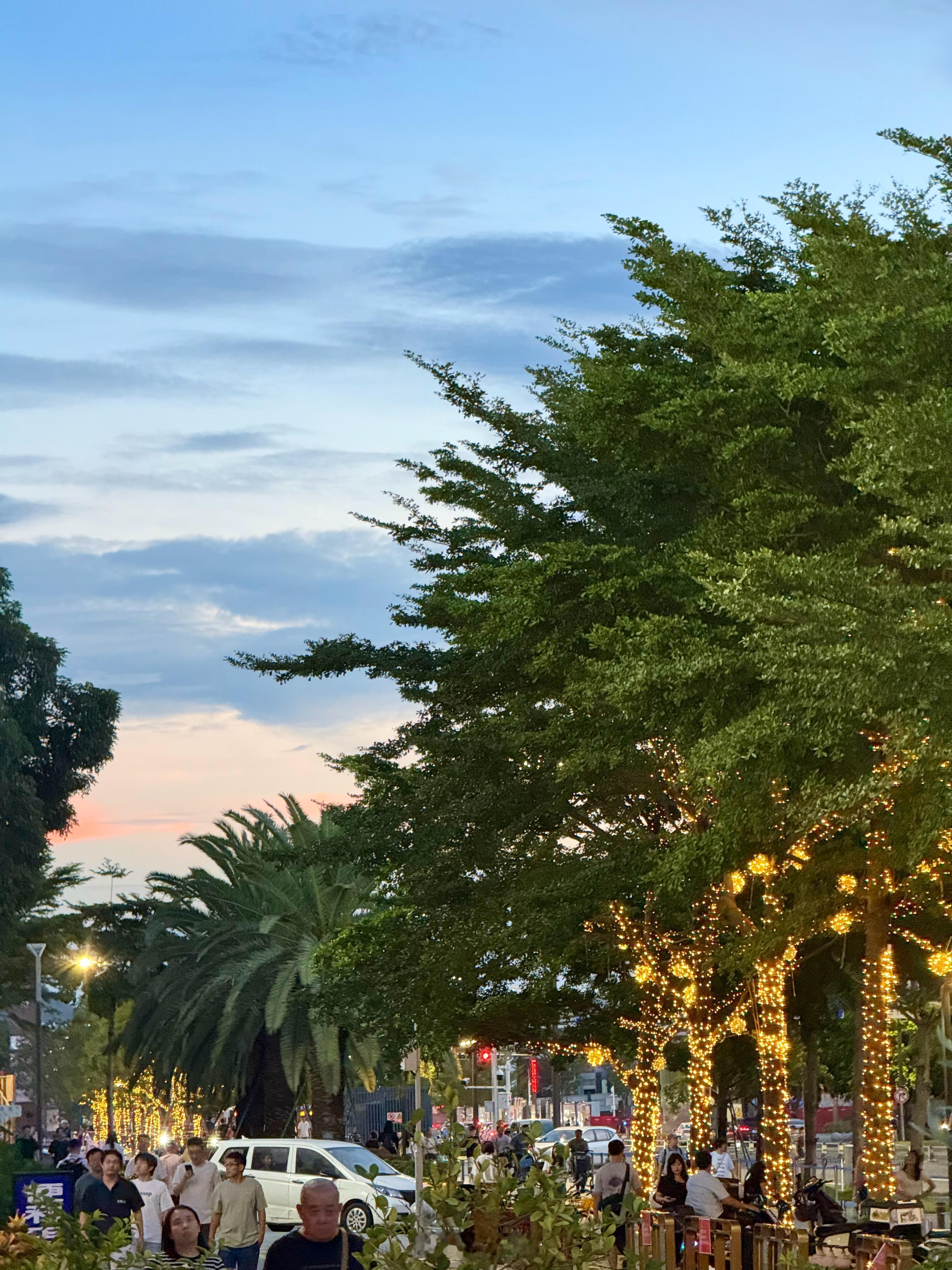 今晚的深圳又一次美哭了，你觉得今天最像哪一座城市呢我先来：迈阿密深圳天气深圳市民