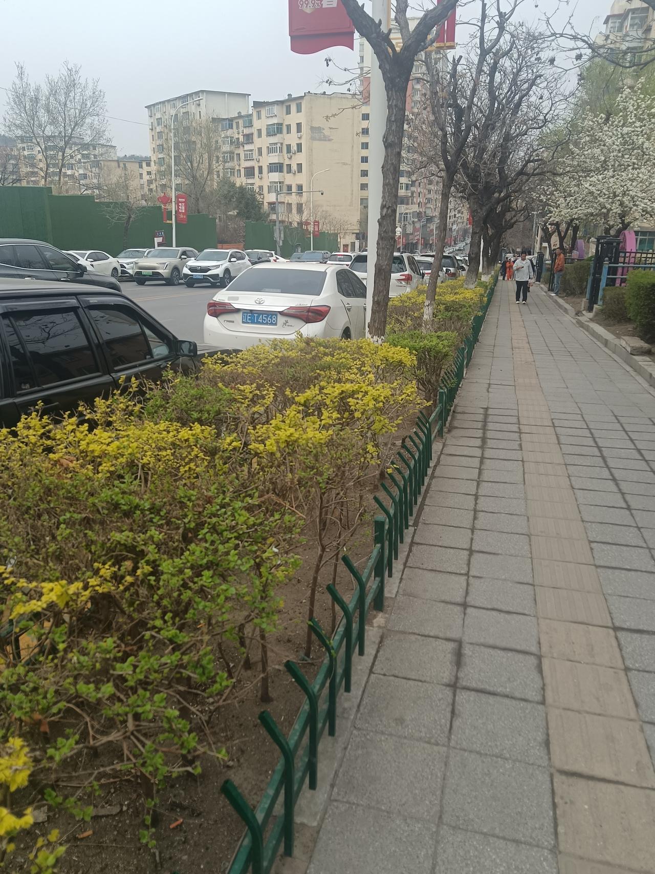 我的同事小金真了不起，称得上“寒门贵女”。小金是1995年生人，