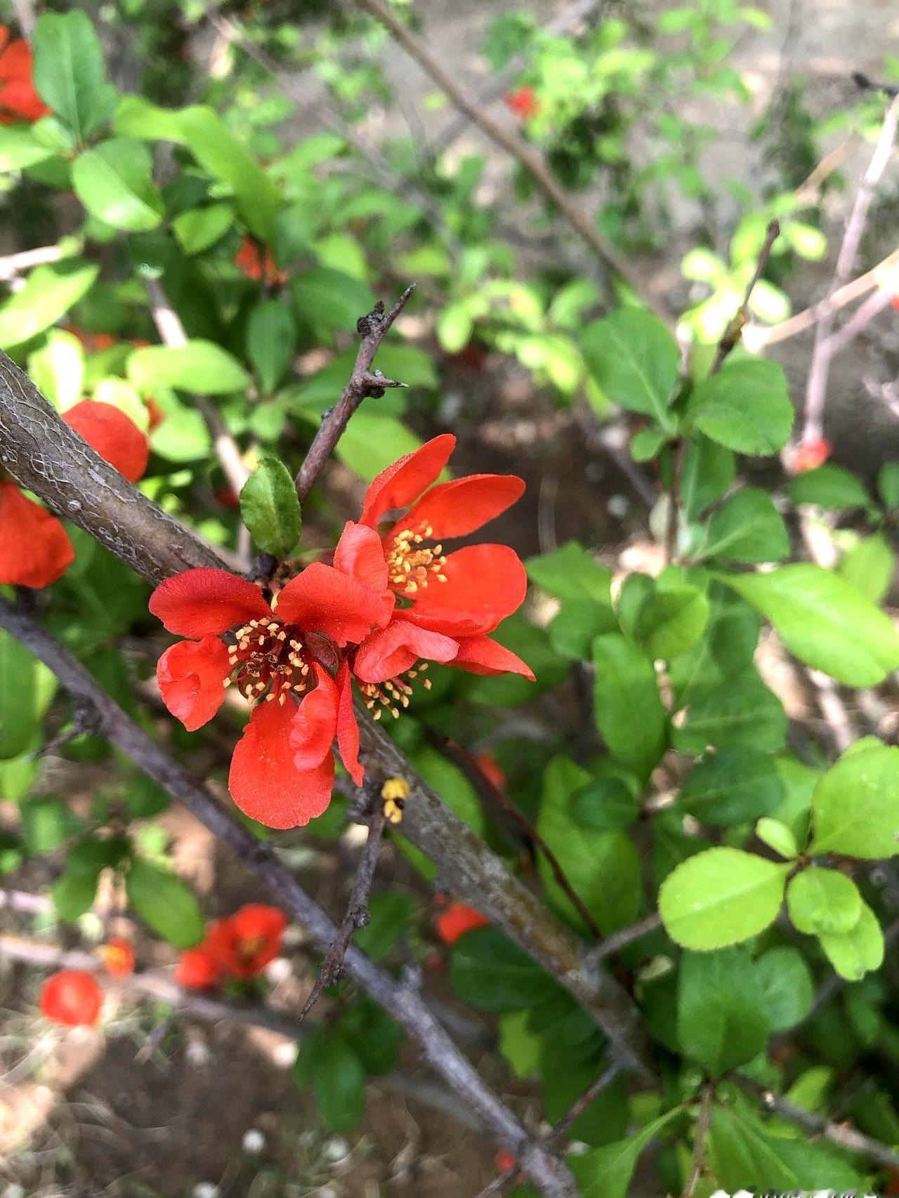 你敢相信吗？女辅导员比男学生大了整整九岁，这对师生恋最后居然修成了正果！当年