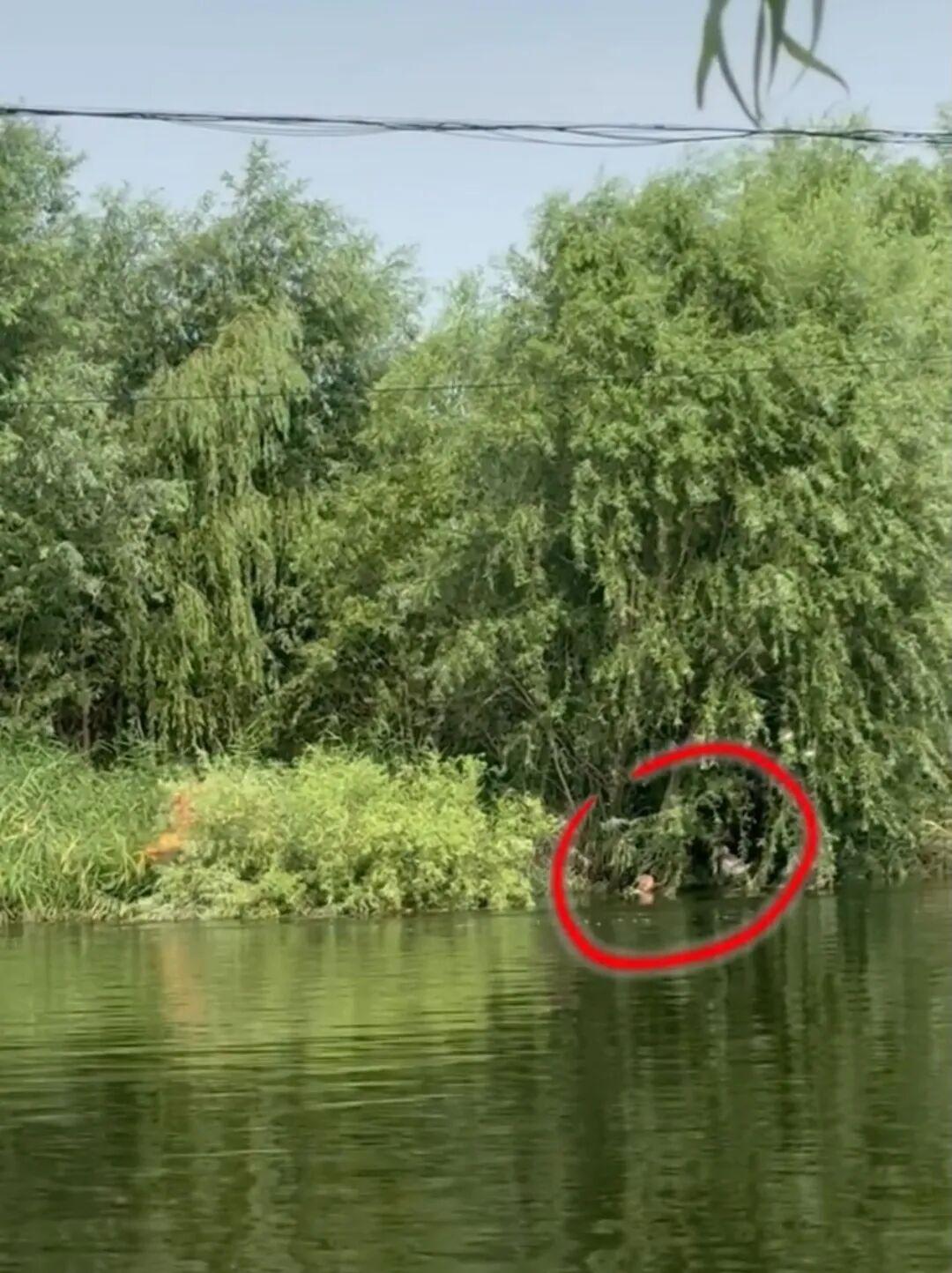 “太痛心了！”河南许昌，一名28岁的男子，带着5岁的女儿到水库游玩，却没想到出现