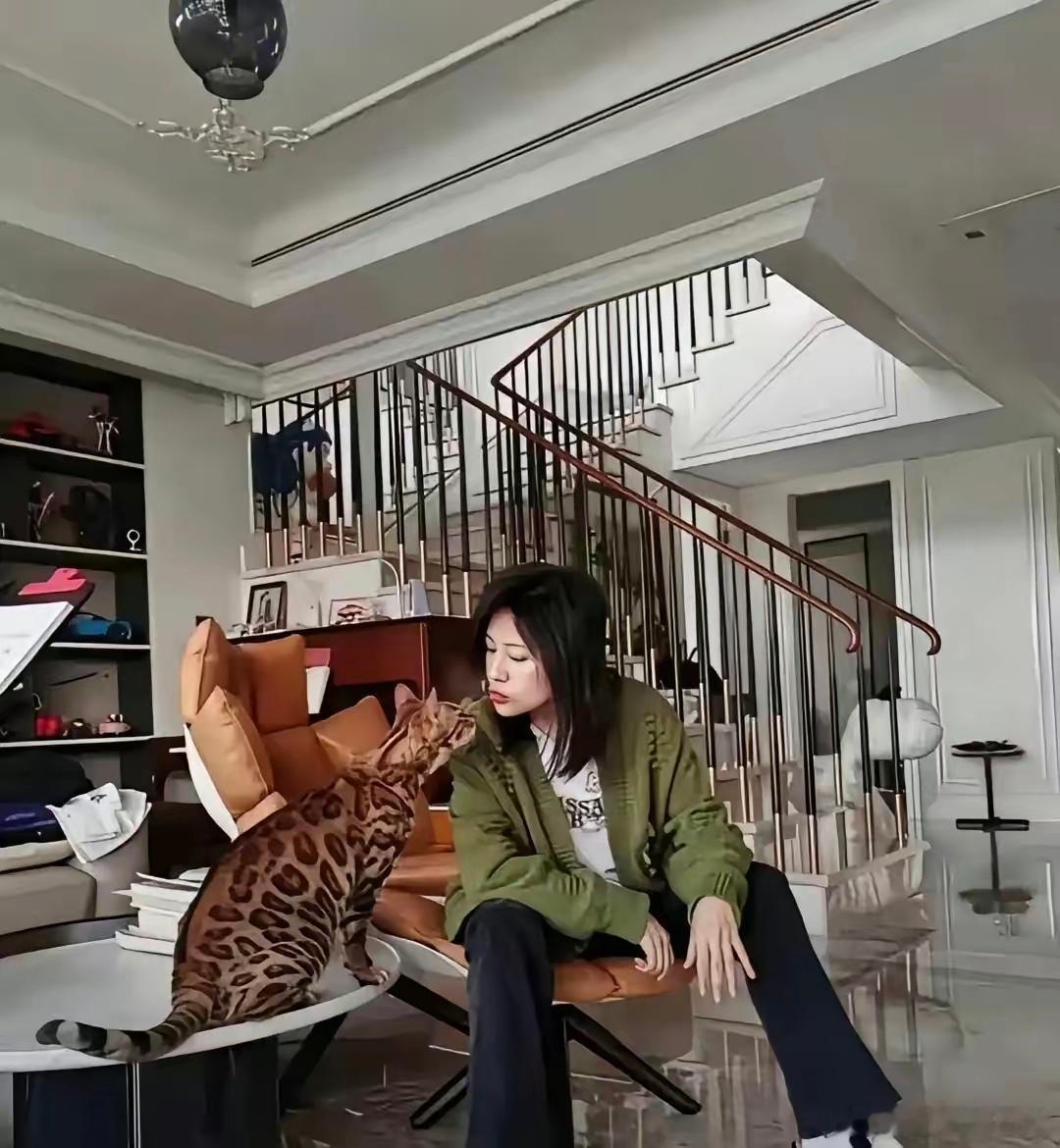 鲍蕾﻿⁠⁠家这只猫，‏‎‎应该很‏贵⁠﻿吧？⁠⁠起码得5‏⁠位‍‏‎数。快赶上有